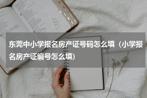 东莞中小学报名房产证号码怎么填（小学报名房产证编号怎么填）