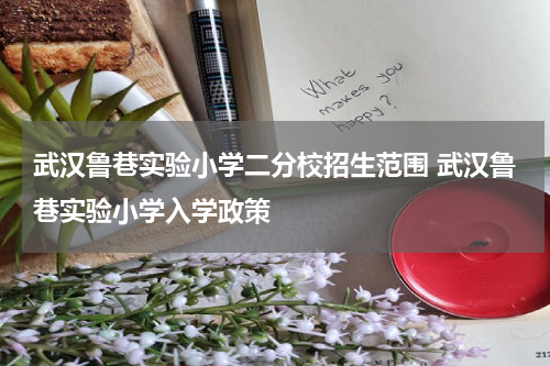 武汉鲁巷实验小学二分校招生范围 武汉鲁巷实验小学入学政策