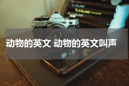 动物的英文 动物的英文叫声