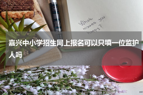 嘉兴中小学招生网上报名可以只填一位监护人吗