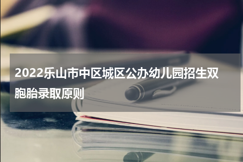 2022乐山市中区城区公办幼儿园招生双胞胎录取原则