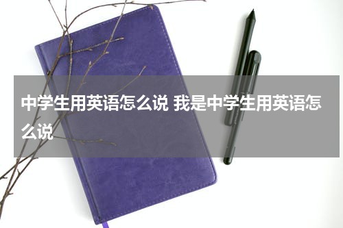 中学生用英语怎么说 我是中学生用英语怎么说