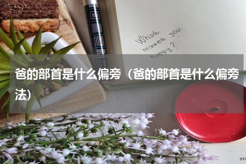 爸的部首是什么偏旁（爸的部首是什么偏旁法）