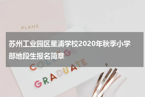 苏州工业园区星浦学校2020年秋季小学部地段生报名简章