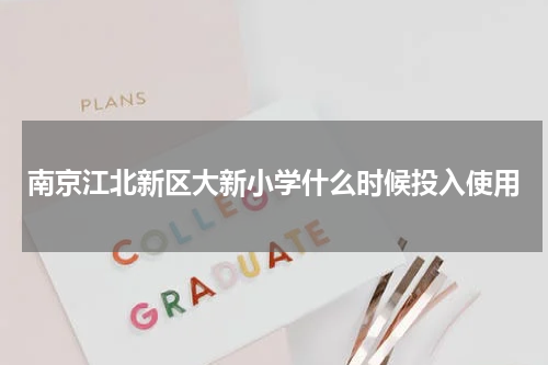 南京江北新区大新小学什么时候投入使用