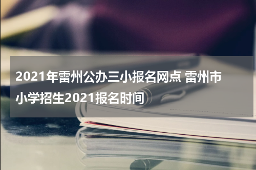 2021年雷州公办三小报名网点 雷州市小学招生2021报名时间