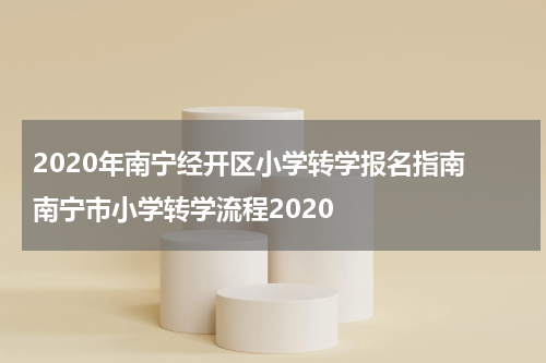 2020年南宁经开区小学转学报名指南 南宁市小学转学流程2020
