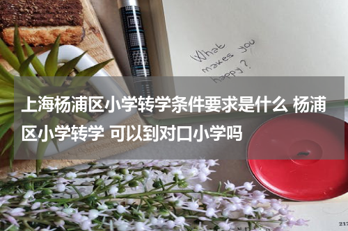 上海杨浦区小学转学条件要求是什么 杨浦区小学转学 可以到对口小学吗