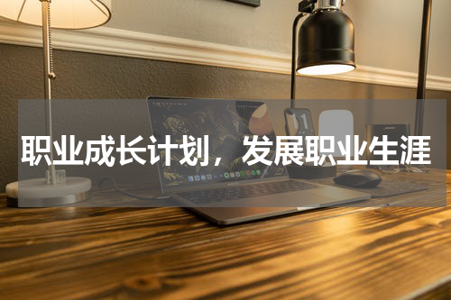 职业成长计划，发展职业生涯