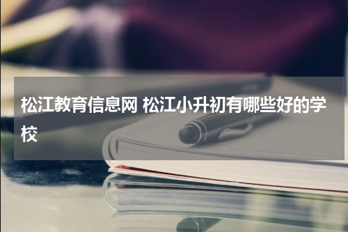 松江教育信息网 松江小升初有哪些好的学校