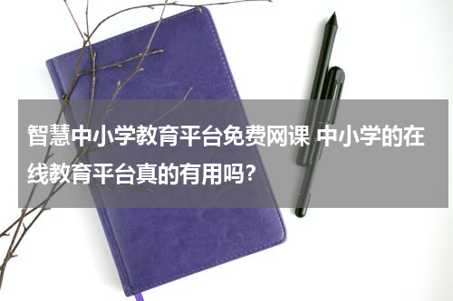 智慧中小学教育平台免费网课 中小学的在线教育平台真的有用吗？
